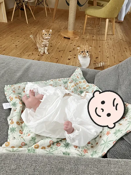 My daughter meeting Mugi and Haru.