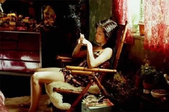 Shunji Iwai's film "Swallowtail Butterfly"