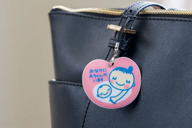 Japan's Maternity Mark
Maternity Symbol
Maternity Badge