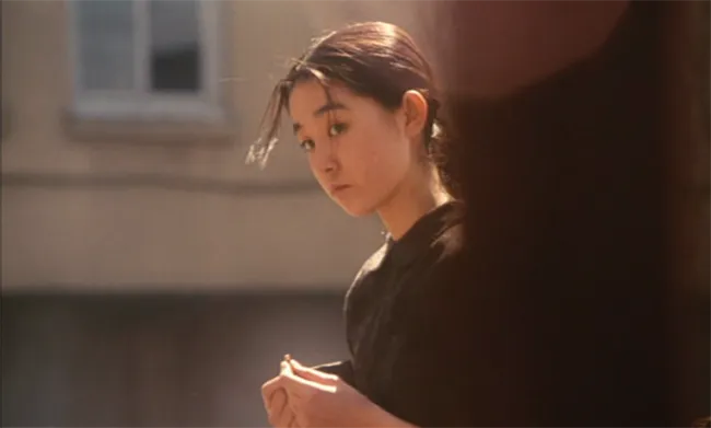 Shunji Iwai's film "Swallowtail Butterfly"