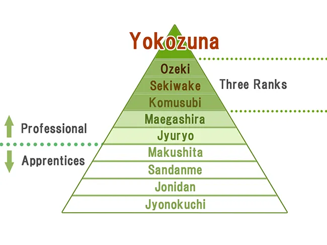 Sumo rank