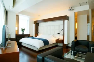 Recommended Love Hotels in Tokyo Japan