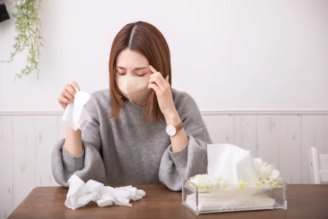 Hay fever in Japanese people