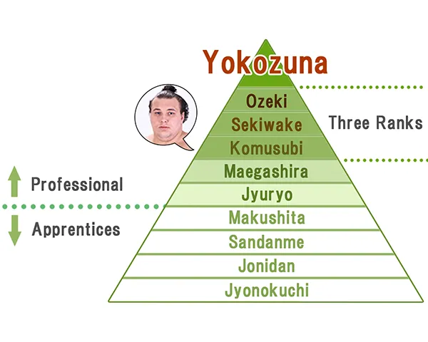 Sumo ranking