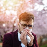 Japan’s Formidable Pollen