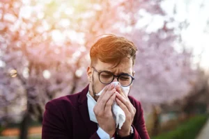 Japan’s Formidable Pollen