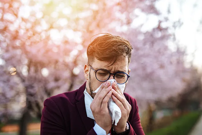 Japan’s Formidable Pollen