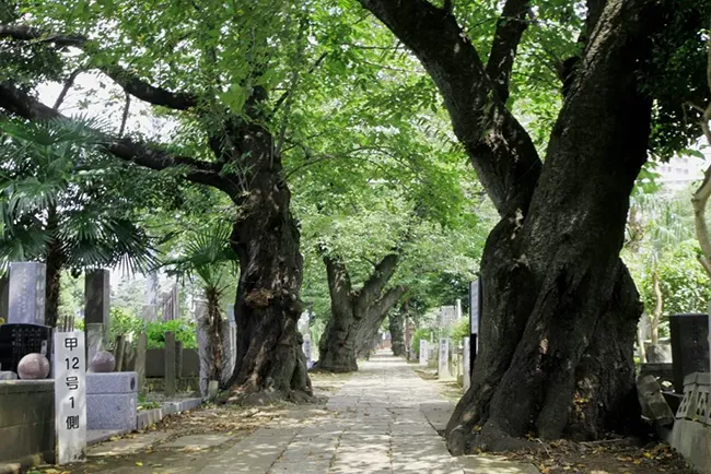 Yanaka Cemetery