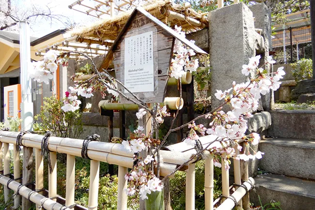 Yanaka Cemetery