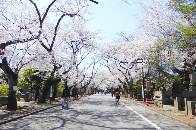 Yanaka Cemetery