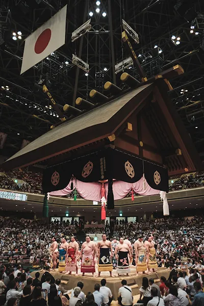 sumo
