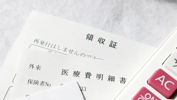 Japan’s High-Cost Medical Expense Benefit