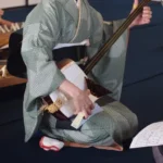 Japanese Shamisen