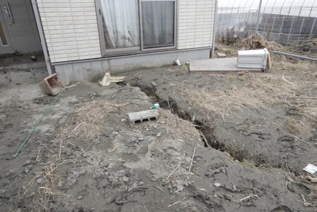 A garden of a cracked house