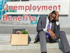 Unemployment Insurance