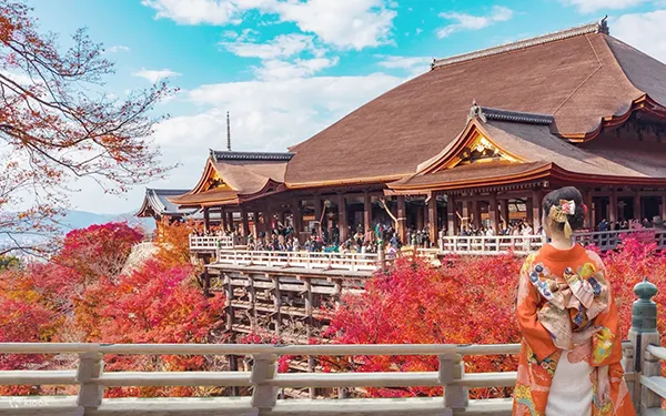 Kinkaku-ji (Golden Pavilion) & Kiyomizu-dera Temple & Byodo-in Temple