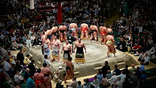 sumo