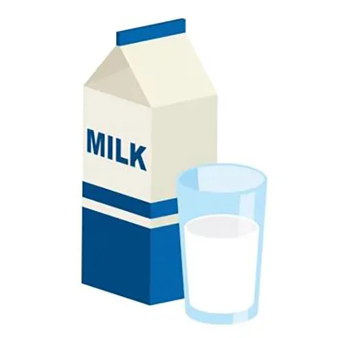 Japanese School Lunch