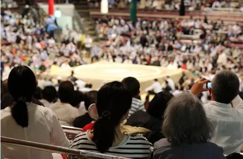 watching sumo