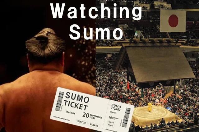 watching sumo